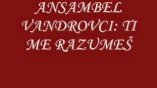 ANSAMBEL VANDROVCI: TI ME RAZUMEŠ.wmv