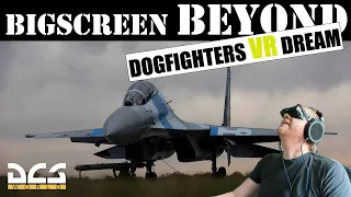 BEST VR HEADSET For DCS! #VR #DCS #bigscreenbeyond