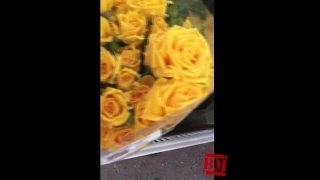 Перевозчик заморозил цветок клиента