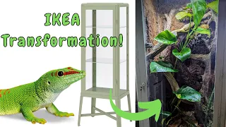 Lizard Lives in IKEA Furniture Now? | DIY IKEA greenhouse | Turning an Ikea Cabinet into a Terrarium