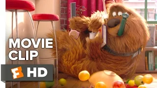 The Secret Life of Pets Movie CLIP - Trashing the Apartment (2016) - Louis C.K. Movie HD