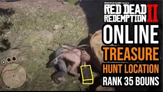 Red Dead Redemption 2 ONLINE Treasure Hunt Location (Rank 35 Bonus)