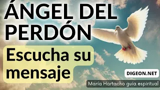 💌MENSAJE de los ÁNGELES PARA TI DIGEON💌🤍Perdonar a los demás te favorece🤍ÁNGEL DEL PERDÓN