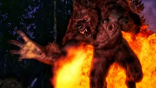 Van helsing(2004) Monster Werewolf vs Van helsing scene Hindi dubbed HD clips movie video