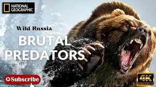 Wild Russia - Cruel Predators (Nat Geo Wildlife)