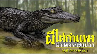 ผีไต่กำแพง | ฟาร์มจระเข้แปลก