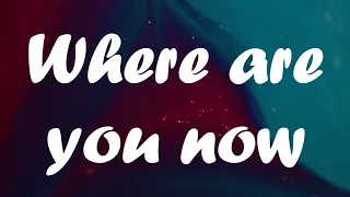 Lost Frequencies & Calum Scott - Where are you now lyric video