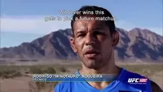 The Ultimate Fighter: Brazil - The Octagon Challenge