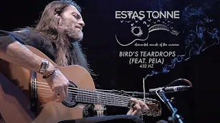 Estas Tonne - Bird's Teardrops (feat. Peia) 432 hz