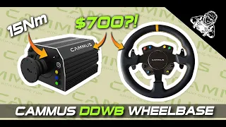 CAMMUS 15Nm DDWB Long Term Review | Direct Drive Wheelbase and Steering Wheel