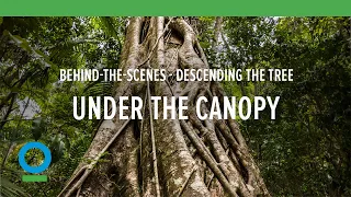 Under the Canopy: Behind-the-Scenes - Descending the Tree | Conservation International (CI)