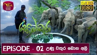 Sobadhara - Sri Lanka Wildlife Documentary | 2019-03-08 | Elephant