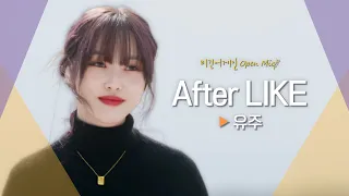 바람까지 상큼하게 느껴지는 유주(YUJU)의🍊 'After LIKE'｜비긴어게인 오픈마이크