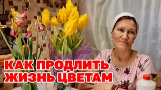 ОДНА ЧАЙНАЯ ЛОЖКА И БУКЕТ ПРОСТОИТ ДОЛЬШЕ НА ДВЕ НЕДЕЛИ В ЧЕМ СЕКРЕТ @obovsemsmarusya