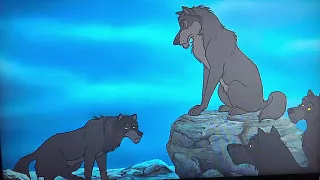 The Jungle Book- Mowgli's first appearance/Shere Khan has returned