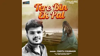 Tere Bina Ek Pal