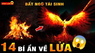 🔥 14 Bí Ẩn Ly Kỳ Và Thú Vị Về Lửa Dùng Hết Cả Thanh Xuân Nhưng Chưa Chắc Bạn Đã Biết I Kính Lúp TV