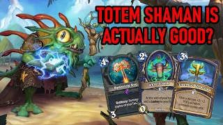 TOTEM SHAMAN IS BUSTED - Hearthstone