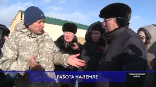 Новую для Бурятии породу овец завезли в Тарбагатайский район