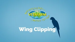 A Guide to Wing Clipping