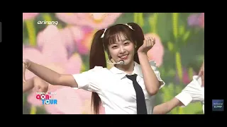 ILY:1 20230710 Newsong Blossom