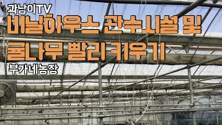 비닐하우스 관수시설 및 귤나무 빨리 키우기