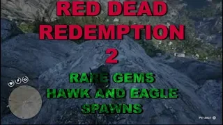 RDR2 SECRET CAMPSITE, RARE GEMS, EAGLE AND HAWK SPAWNS