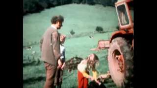 A Welsh Farm In The 1970's