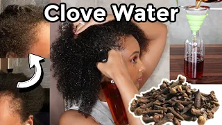 Clove Water for Thicker Hair! (3 Month Natural Hair Growth Update!) Surprised 😲 Shocking Results!!