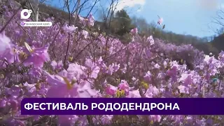 Дальний Восток Блиц / 06.05.24