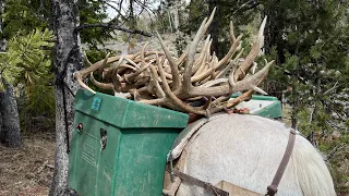 2024 Elk Shed hunt. Day 1