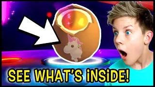 How To See What PET is Inside Your EGG in Adopt Me!! Can We Get These TikTok Hacks To Work?!