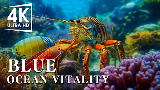 Serenity of the Sea Aquarium 4K Ultra HD - Deep Relaxing Sleep Meditation Music #2