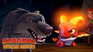 Wolf Attack! | DRAGONS RESCUE RIDERS