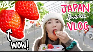 Life in Japan VLOG: Sweet Japanese Strawberry // Winter Farm Picking