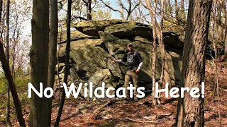 Exploring Wildcat Rocks ~ Michaux State Forest, PA