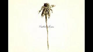 Patrick Watson - Fireweed