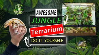 JUNGLE TERRARIUM / DO IT YOURSELF / CRESTED GECKO