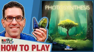 Photosynthesis - How To Play