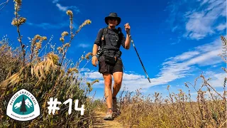 PCT 2022 #14 Acton to Agua Dulce
