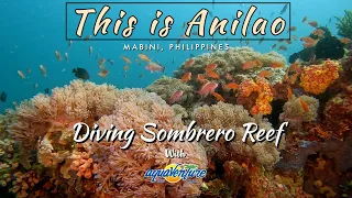 This is Anilao : Diving Sombrero Island Reef