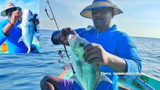 Giant Trevally Fishes Caught Using Live baits