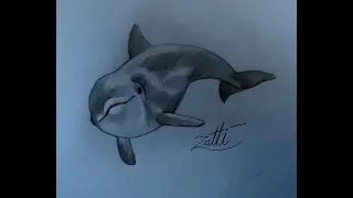 Desenhando um golfinho