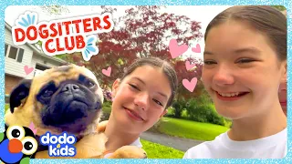 Twin Sisters Take The Dog-Walking Challenge! | Dodo Kids | Dogsitters Club