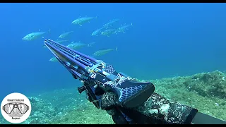 LIKE A BOSS COMPILATION 😲 | Spearfishing the Aegean ✔
