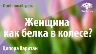 Урок для женщин. Женщина как белка в колесе? Как стать хозяйкой положения? Ципора Харитан