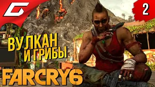 НАКОНЕЦ УБОЙНЫЕ ПУШКИ ➤ FAR CRY 6 - VAAS: Insanity ◉ Прохождение #2