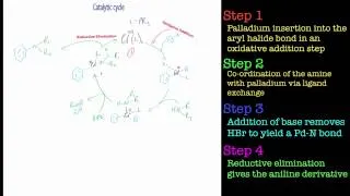 The Buchwald-Hartwig Amination Reaction