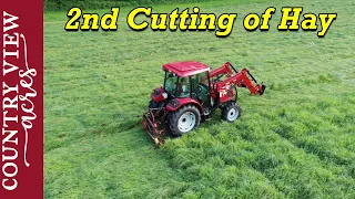 Cutting Hay Field After Work, Struggling with the Sicklebar Mower