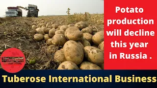 Potato Production will decline this year in Russia. Tuberose International #Russia #Export #Import